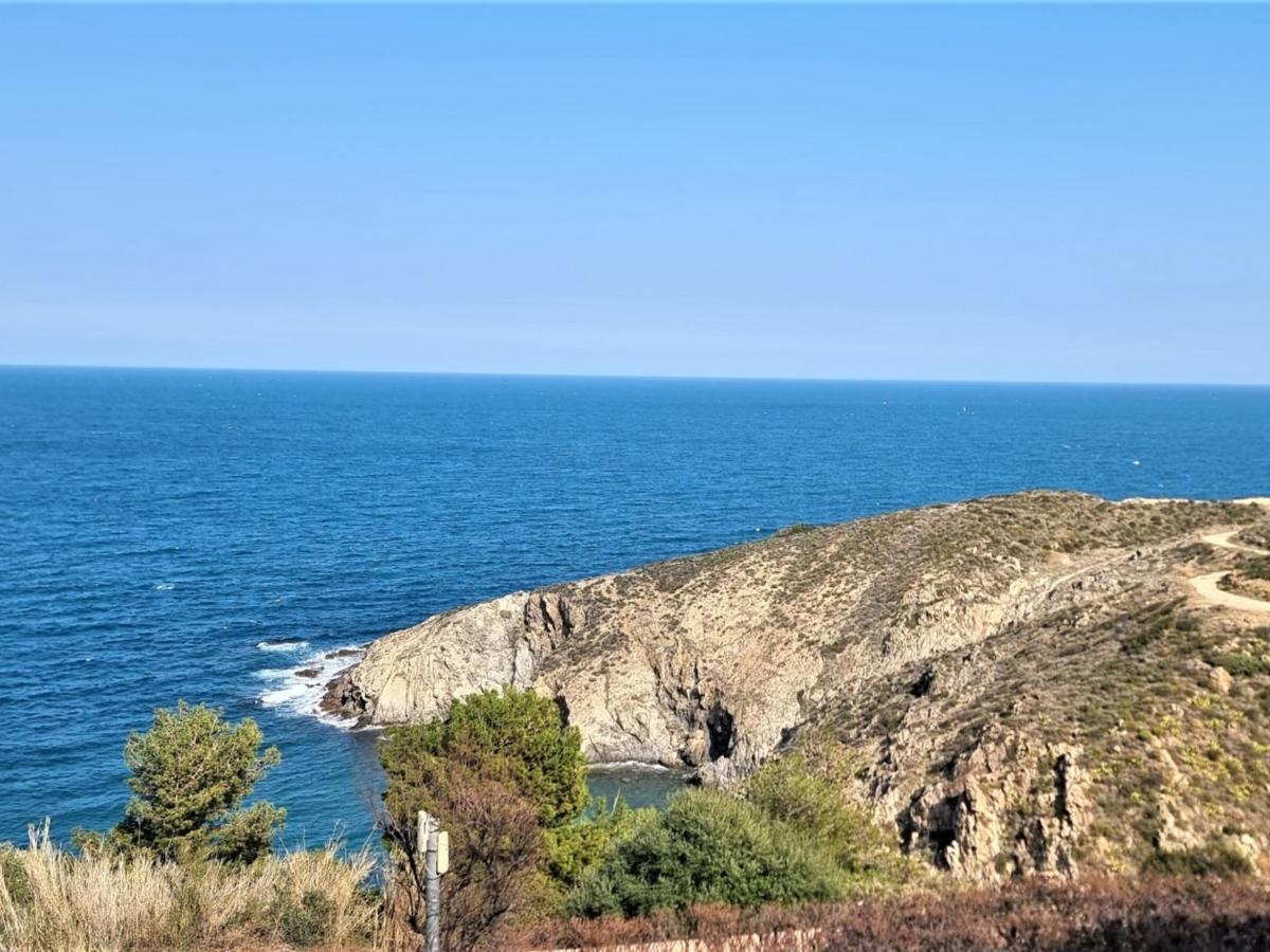 Appartement T2 Avec Terrasse, Parking, Wifi, Proche Plage - Fr-1-309-373 Banyuls-sur-Mer Exterior foto